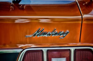Mustang.jpg
