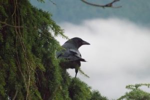 DSCF1344.JPG