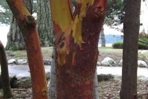 c14-DSCF0465.JPG