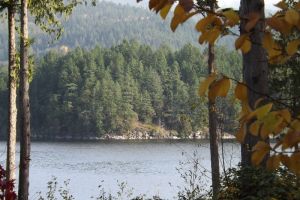 c74-DSCF0571.JPG