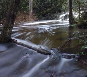 DSCF2752.JPG