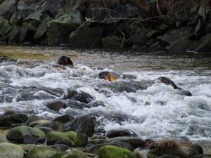 DSCF1806.JPG
