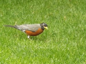 DSCF3731.JPG